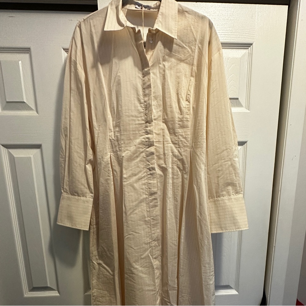 Scanlon Theodore Dress.